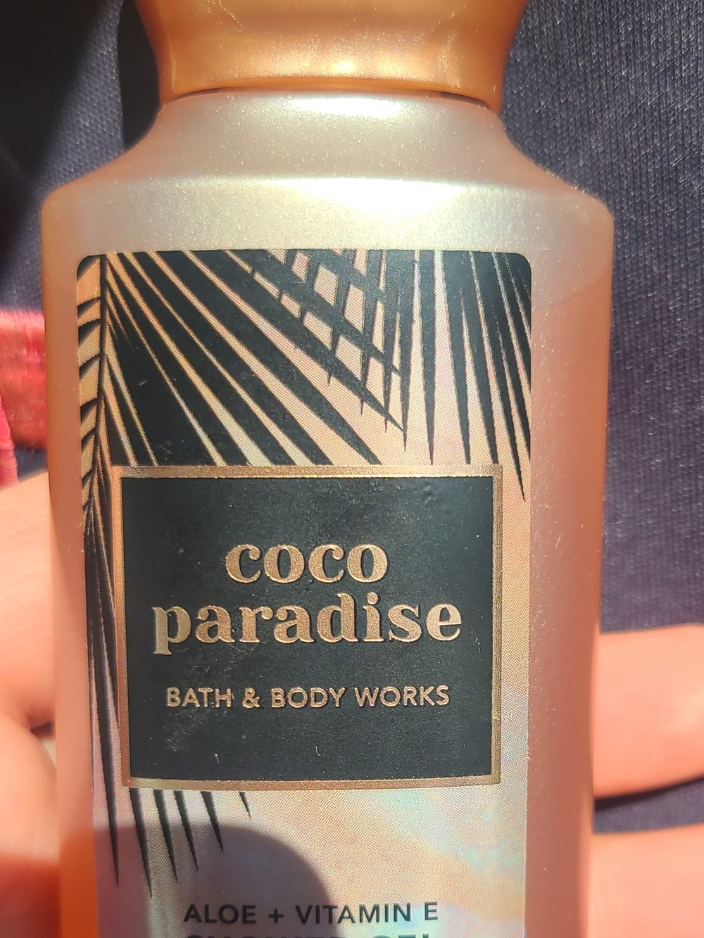 Bath & Body Works Coco Paradise Shower Gel Travel Size